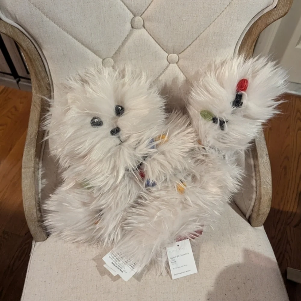 Pottery Barn new tags